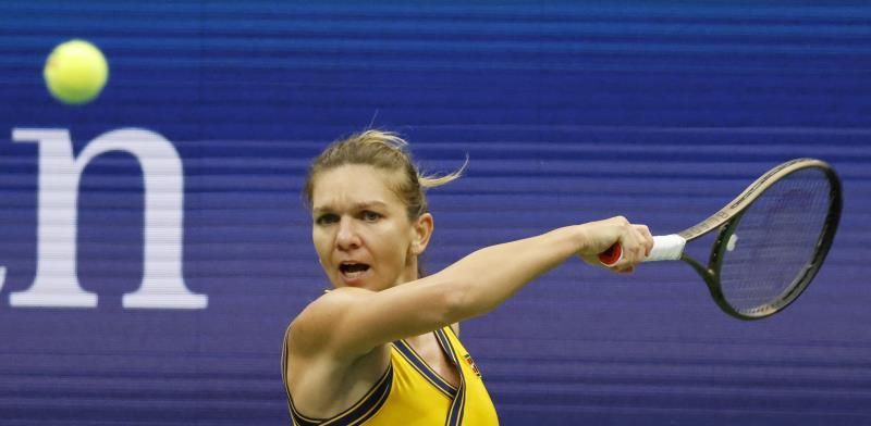 La tenista rumana Simona Halep dará el nombre a una nueva especie de insecto