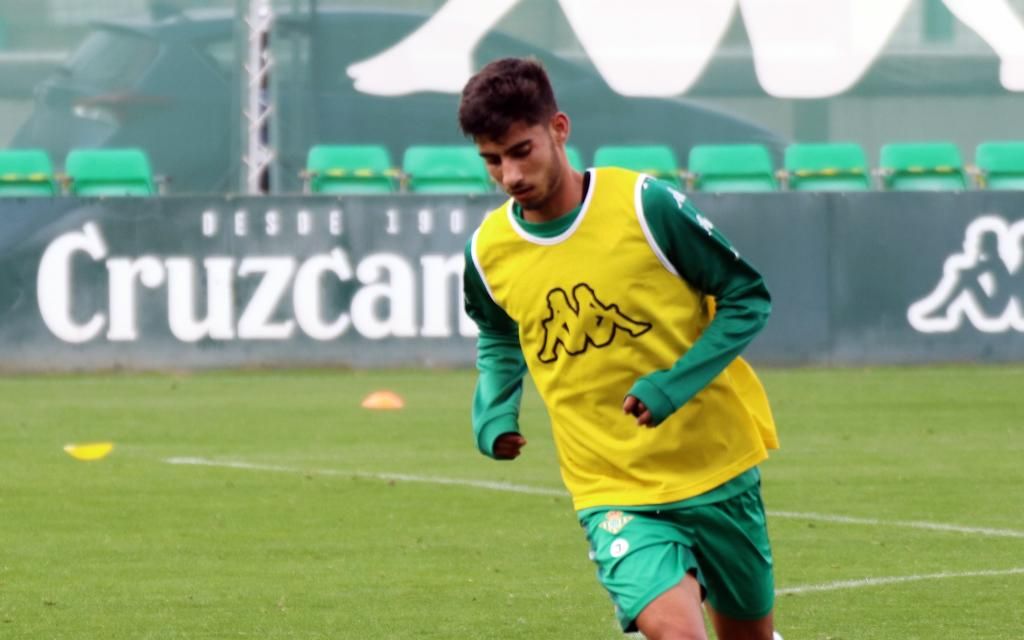 El Betis despide a José Calderón