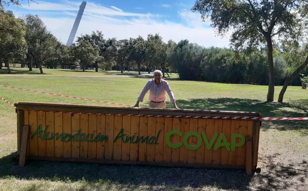 Llega la XI Gran Semana Anglo-árabe, "un espectáculo" que forja a nuestros jinetes olímpicos