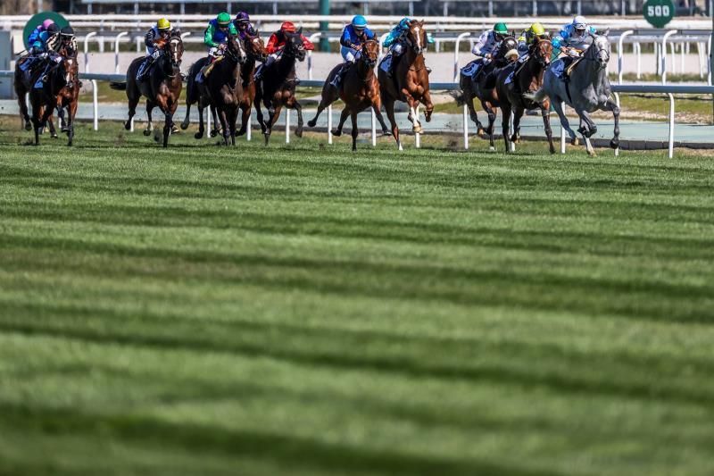 El Hipódromo de Madrid celebra su aniversario 80 con seis carreras