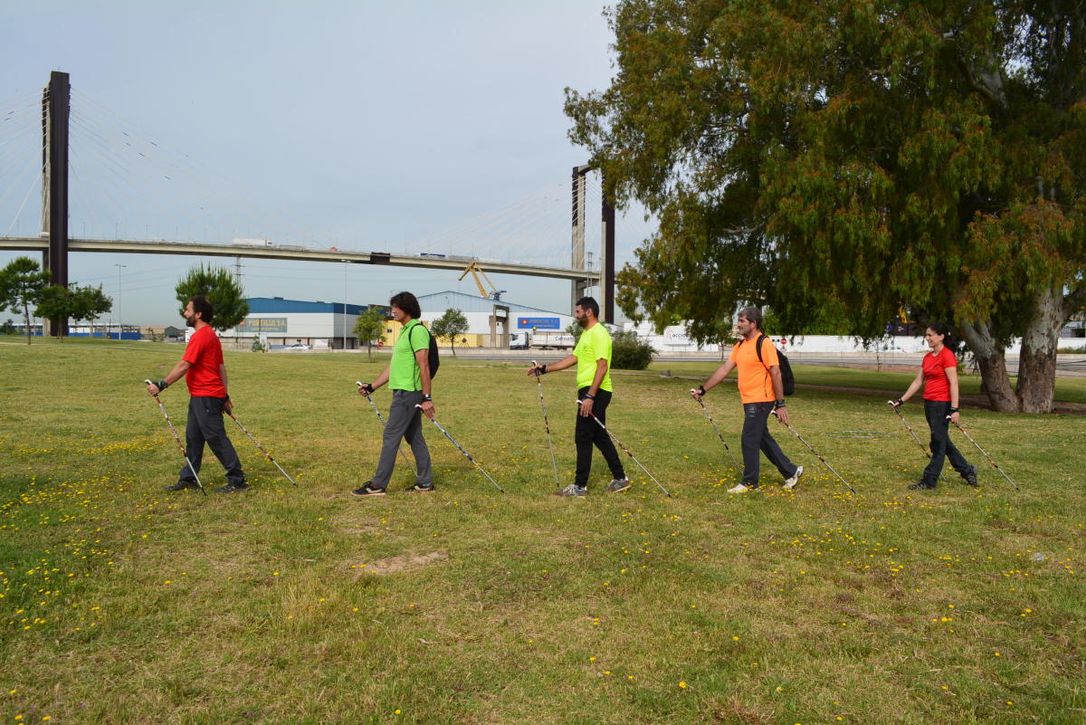 Cursos del SADUS al 50%