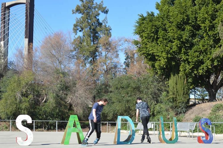 Ven a disfrutar del Carnaval Patín con el SADUS