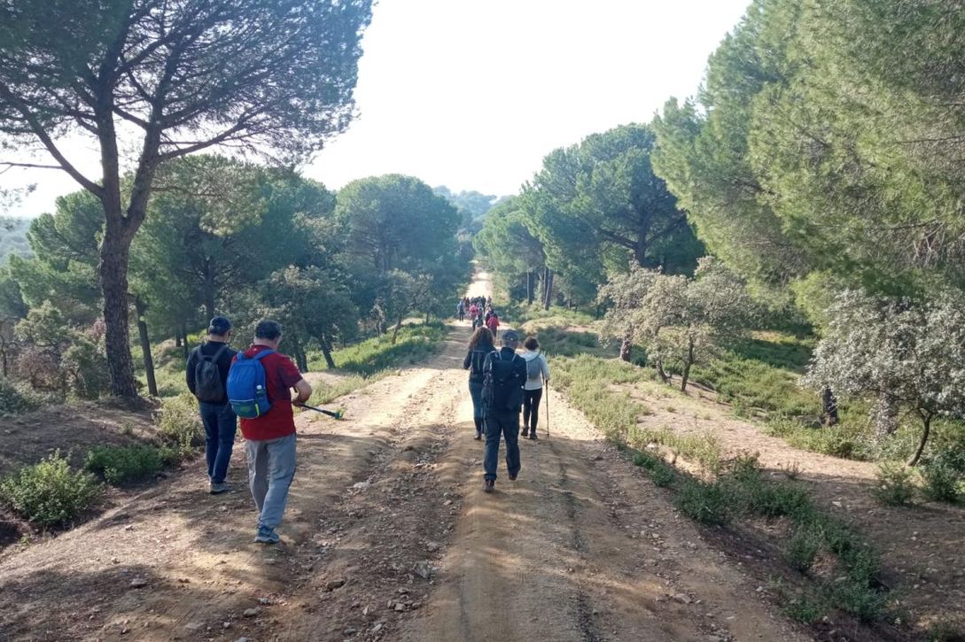 Jornada de deporte y naturaleza: descubriendo Dehesa La Matallana