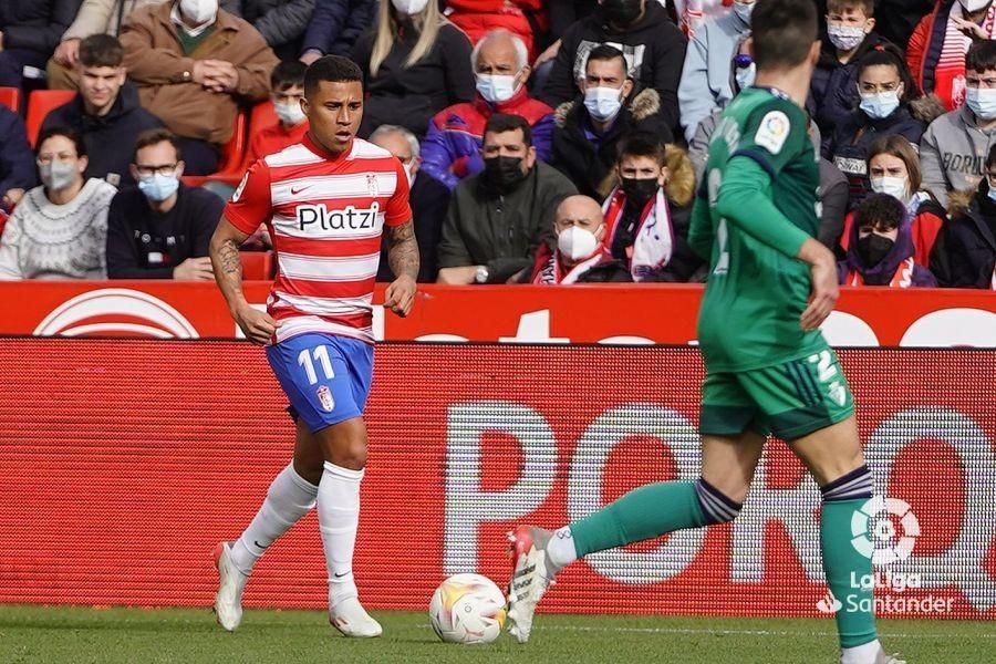 Los problemas de Machís para fichar por el Charlotte