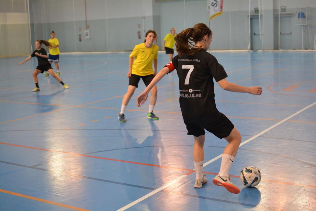 Fase Final de los Campeonatos Universitarios Internos