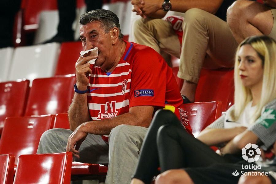 Pequeños accionistas del Granada denuncian la "gestión nefasta" de los propietarios