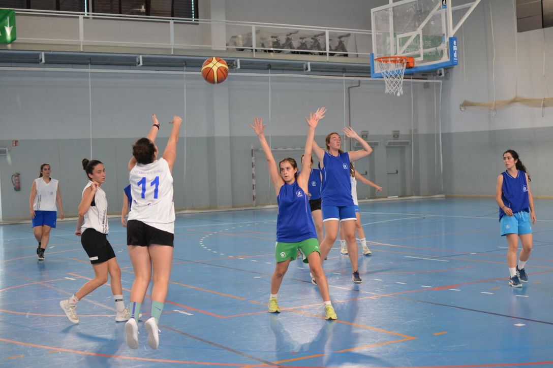 Concluyen las competiciones internas de la Universidad de Sevilla