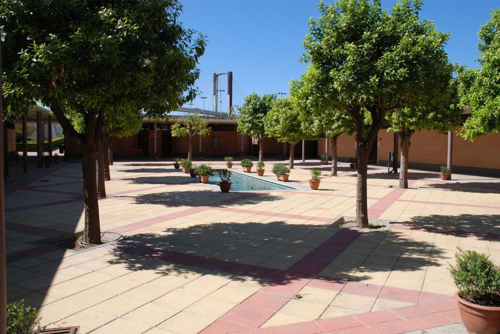 Cierre de las instalaciones por festivo local