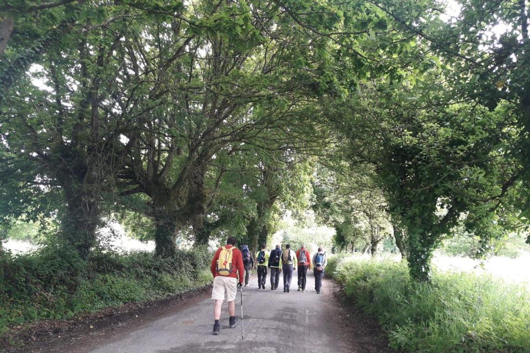 Comienza el Camino de Santiago