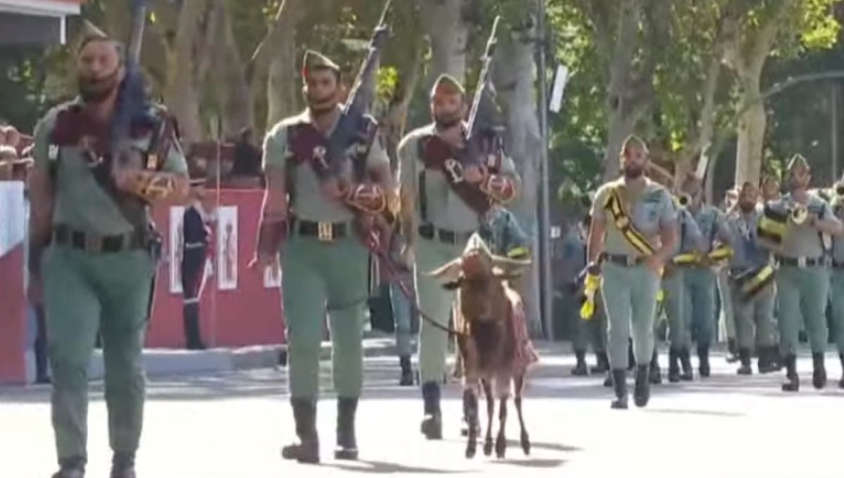 Día de la Hispanidad: ¿Cómo afecta a la cabra de la Legión la ley de Bienestar Animal?