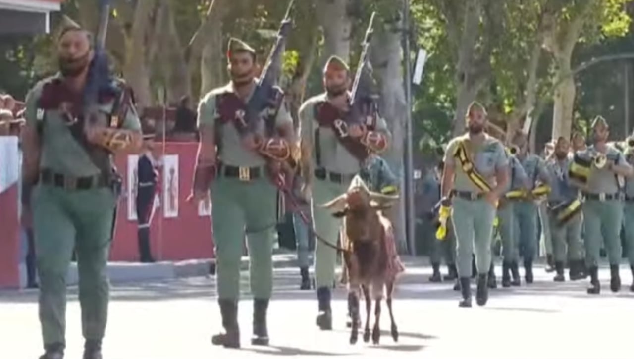 Día de la Hispanidad: ¿Cómo afecta a la cabra de la Legión la ley de Bienestar Animal?