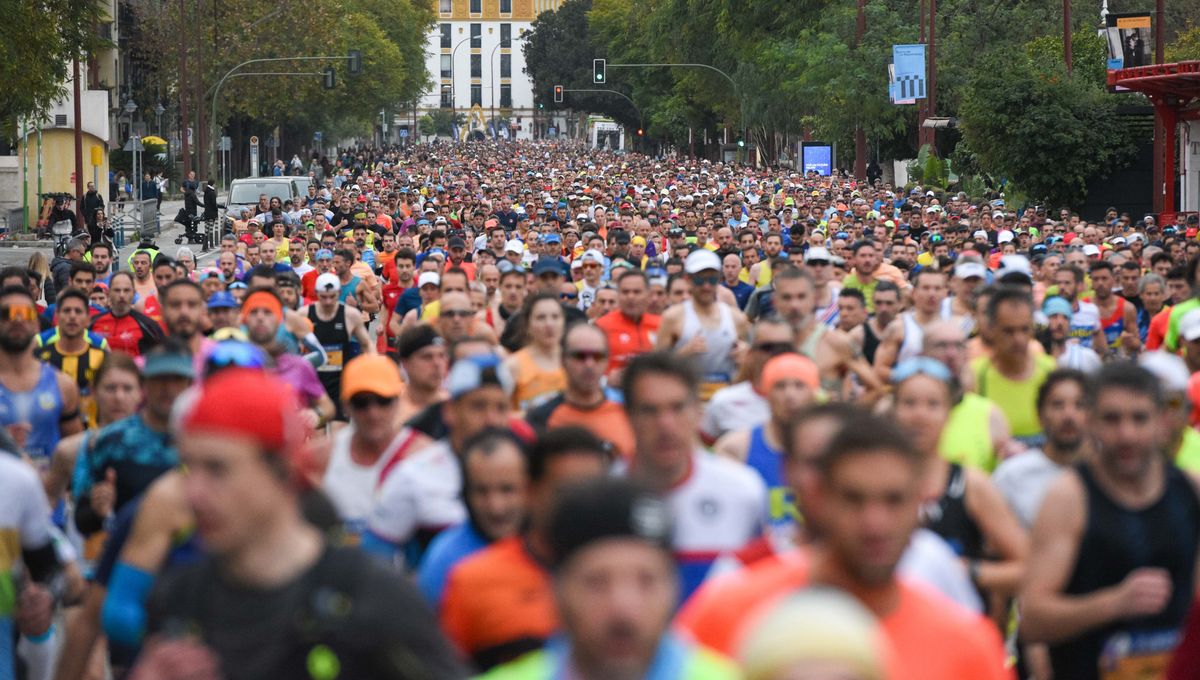 El Zurich Maratón de Sevilla abre inscripciones y agota los mil primeros dorsales para la edición 2024
