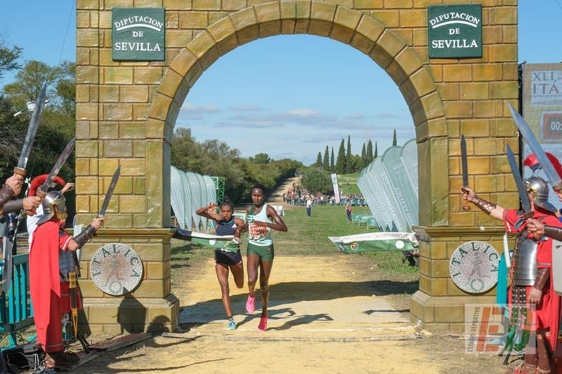 Categorías, distancias, recorridos y horarios del XLII Cross Internacional de Itálica