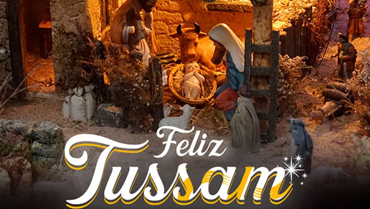 TUSSAM reforzará sus servicios por Navidad para facilitar el transporte público