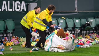 Lluvia a las diez de la noche en La Cartuja, pero de peluches