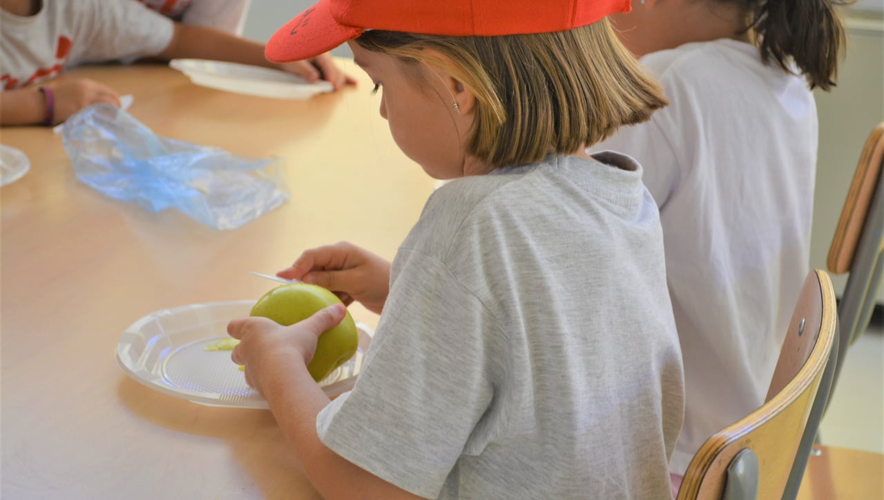 SADUS: consejos prácticos para un verano saludable