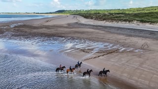 Los destinos a los que puedes ir desde Sevilla... ¡por un euro!