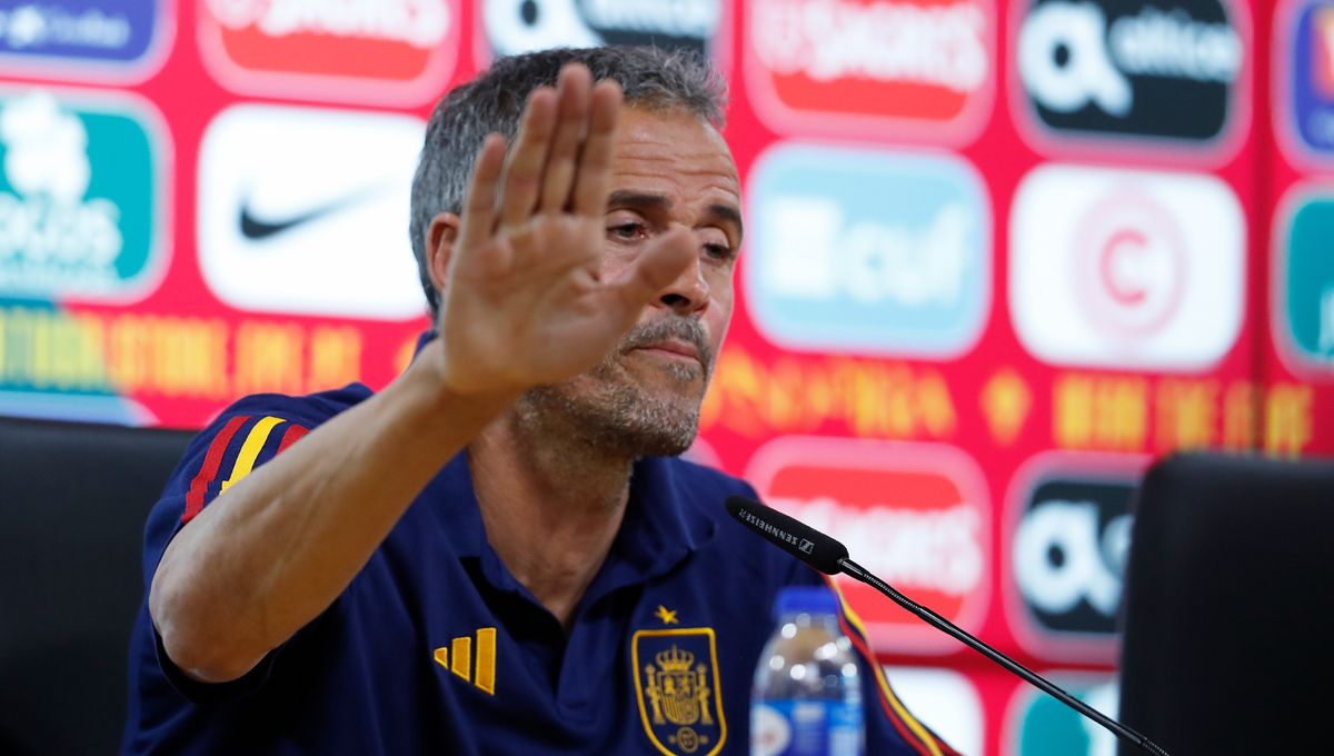 Los dos españoles que no quieren que Luis Enrique gane el Mundial