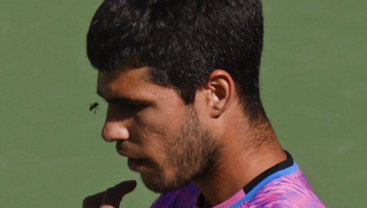 El héroe de Carlos Alcaraz en Indian Wells y la batalla contra las abejas