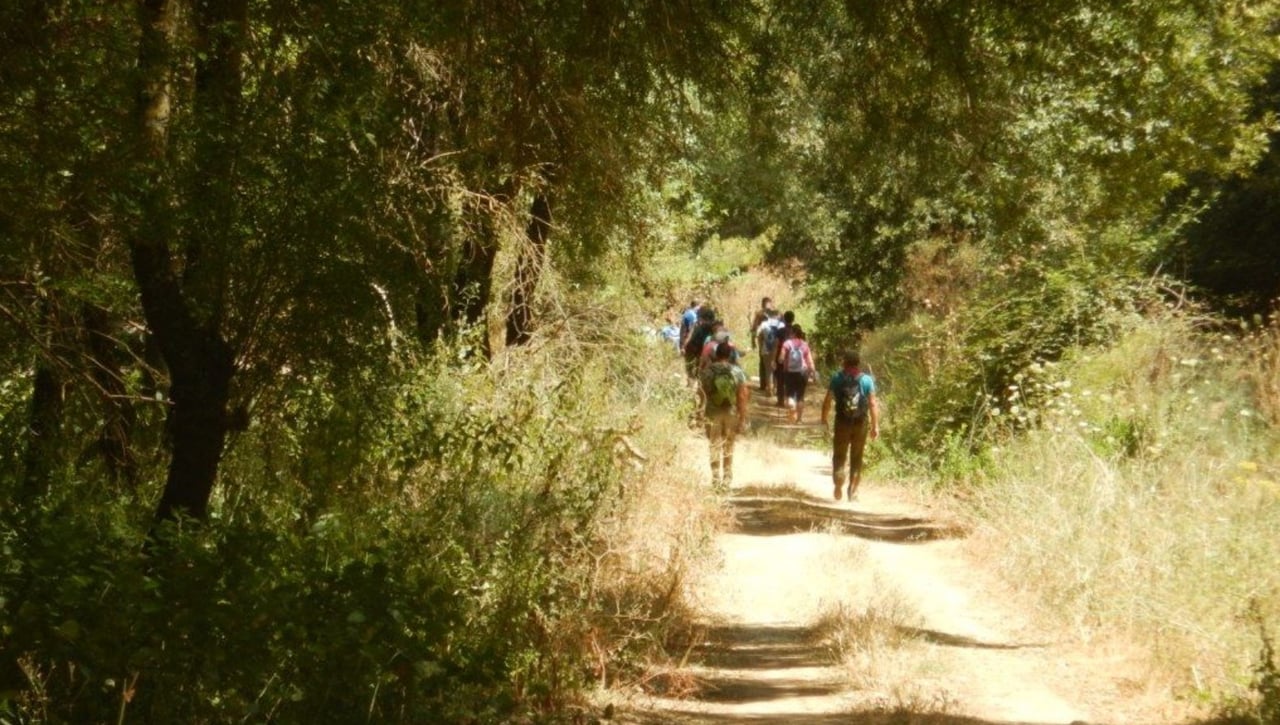 Umbrete acogerá el regreso del Circuito provincial de senderismo