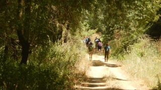 Umbrete acogerá el regreso del Circuito provincial de senderismo