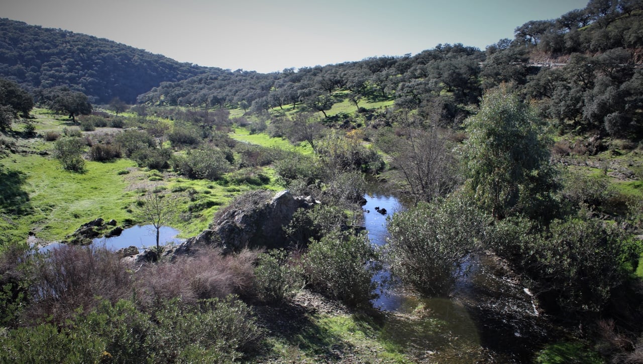 De Santa Olalla del Cala a el Real de la Jara: Circular fronteriza entre Huelva y Sevilla