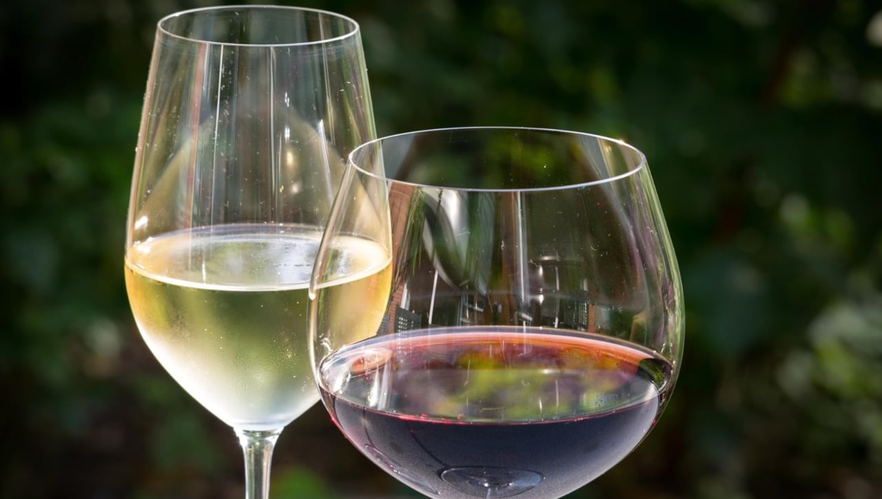 Los mejores vinos de supermercado: Tintos y blancos baratos y fantásticos