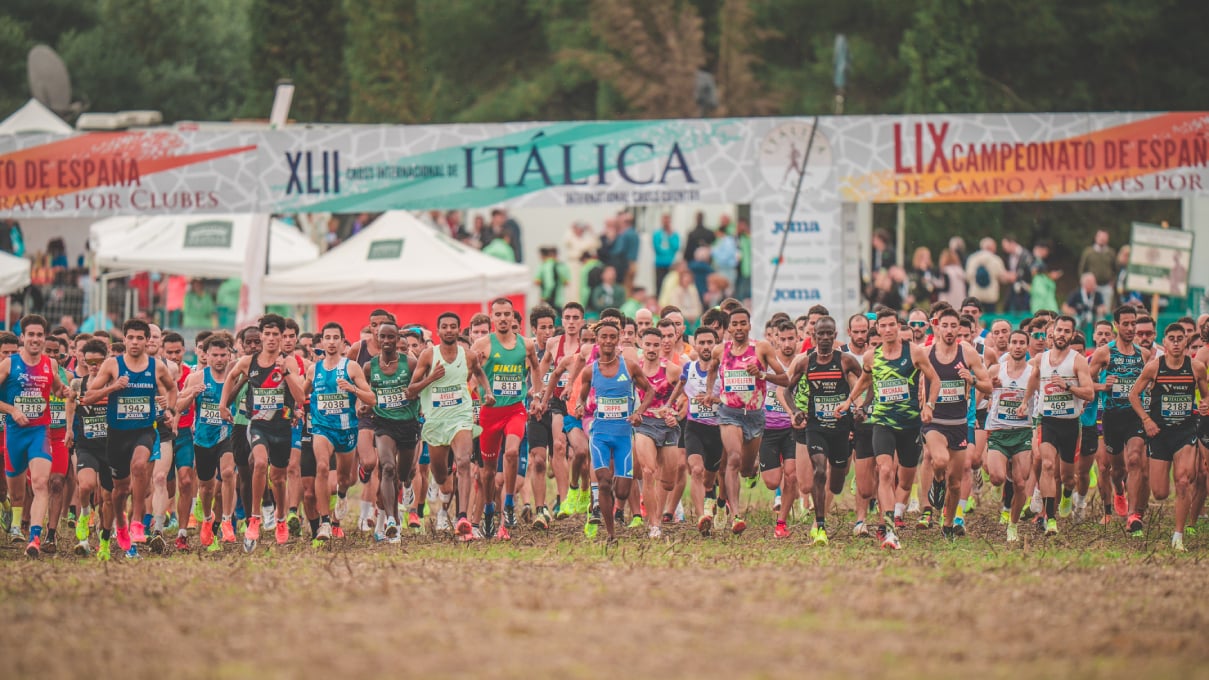 Javier Fernández de los Ríos destaca "la gran fiesta del deporte" que es el Cross Internacional de Itálica