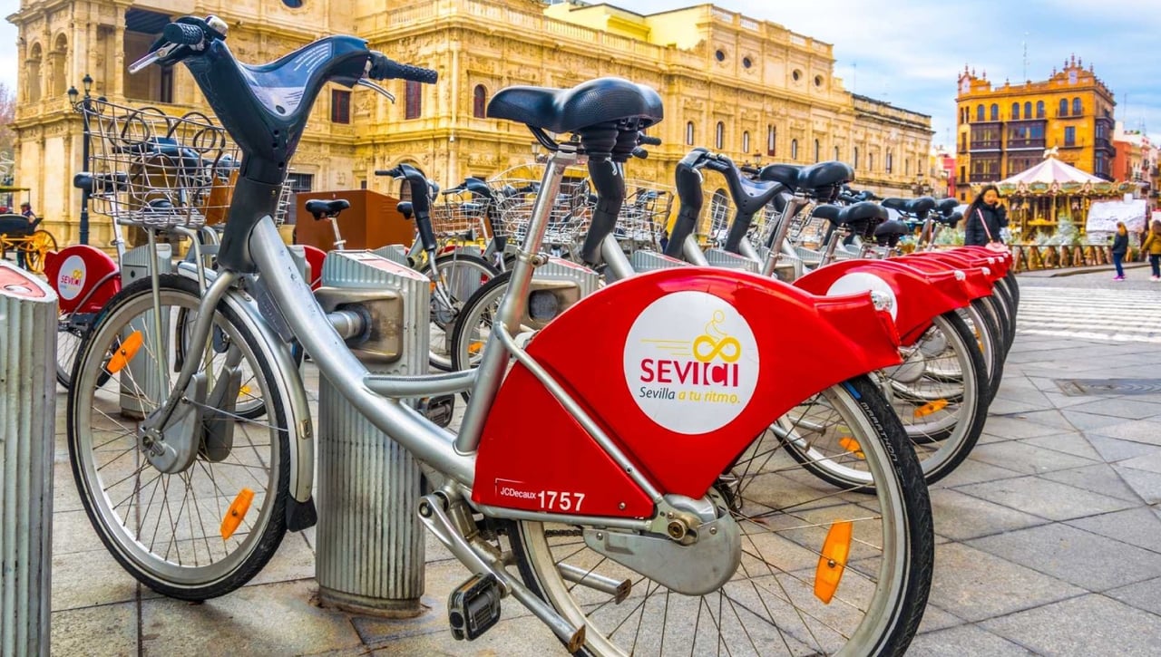 La DGT advierte que va a por los ciclistas, más de la mitad serán multados