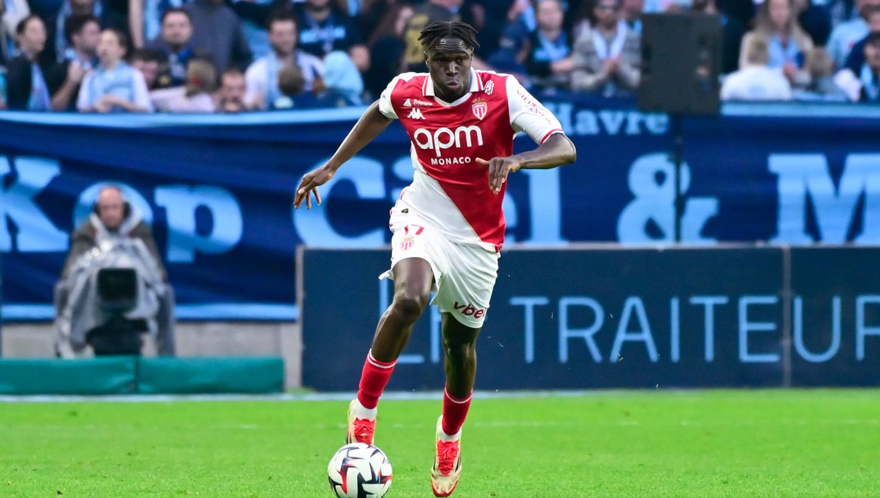 Singo es otra opción