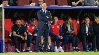 Apoyo de última hora para España ante Alemania