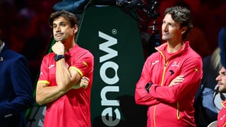 Ferrer confirma lo de la Copa Davis
