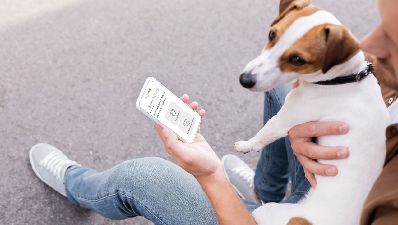 Smile Seguros lanza smile.dog, un seguro de responsabilidad civil para perros