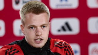 Serio aviso de Vermeeren