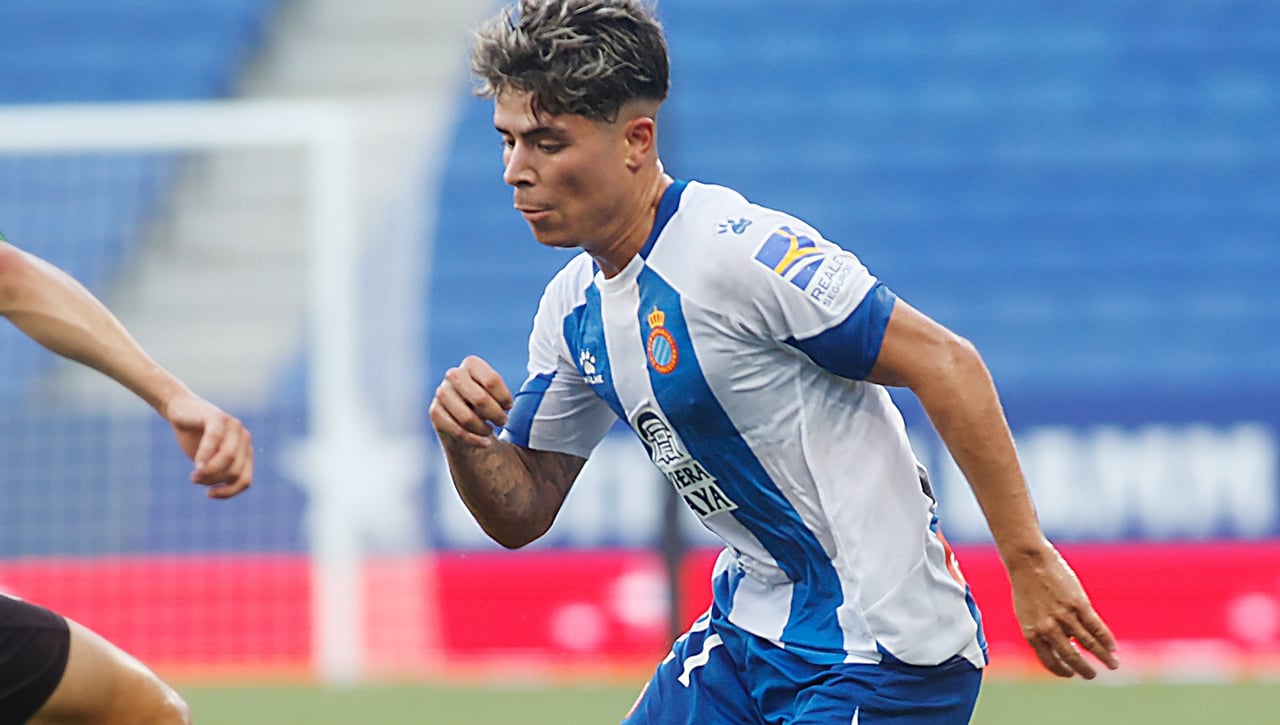 Oferta firme por Nico Melamed