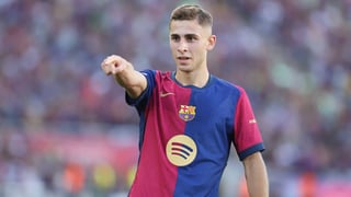 Se activa la opción Fermín