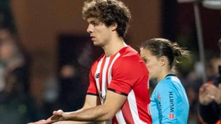 Un león llega a León