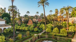 La gripe aviar se extiende por Sevilla y llega hasta el Alcázar