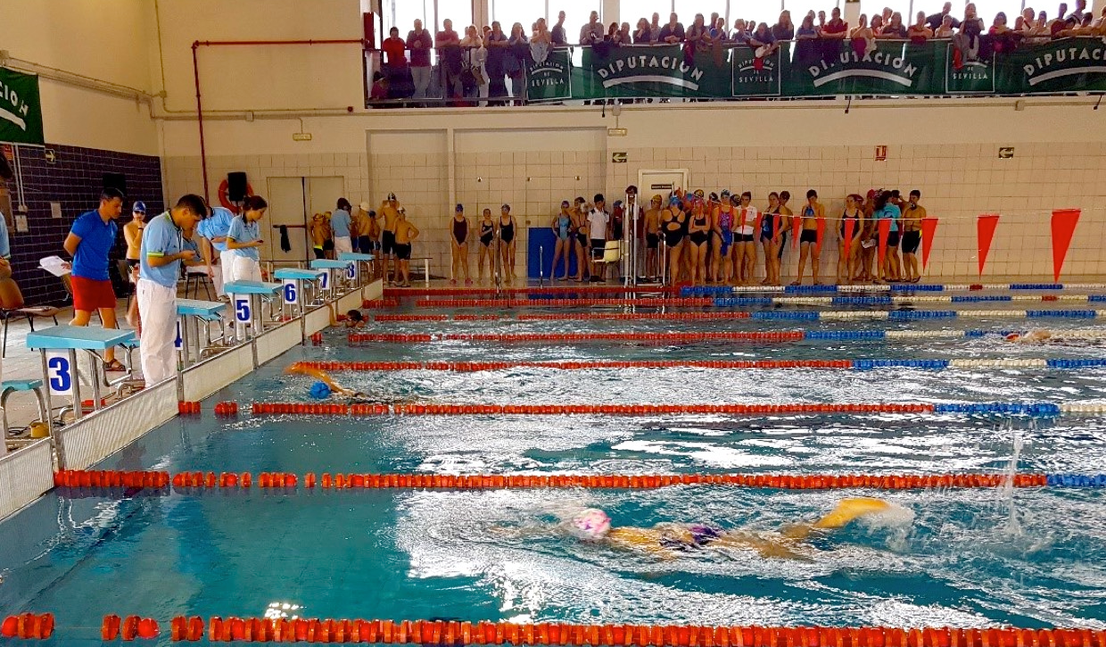 Pilas acogerá la primera jornada Gr5 de Natación de Invierno