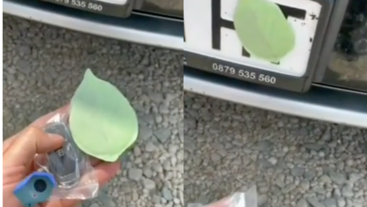 El truco de la hoja en la matrícula: lo que significa y por qué la Policía alerta sobre ella