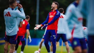 Buenas noticias en la España de Luis de la Fuente