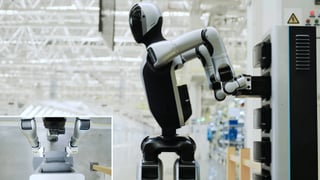 El robot doméstico que hace las tareas de casa ya es una realidad 