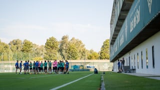 El Betis vuelve al trabajo pendiente de Amrabat, de Junior Firpo y del antagonista de Pellegrini  