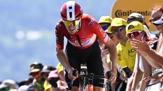 Carlos Rodríguez por Enric Mas, confirmado