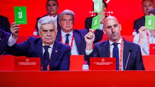 El TAD suspende a Pedro Rocha