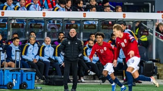 La portería de Luis de la Fuente para la Eurocopa de Alemania