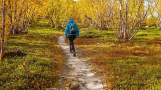 Recomendaciones para hacer senderismo en los circuitos de la diputación de Sevilla