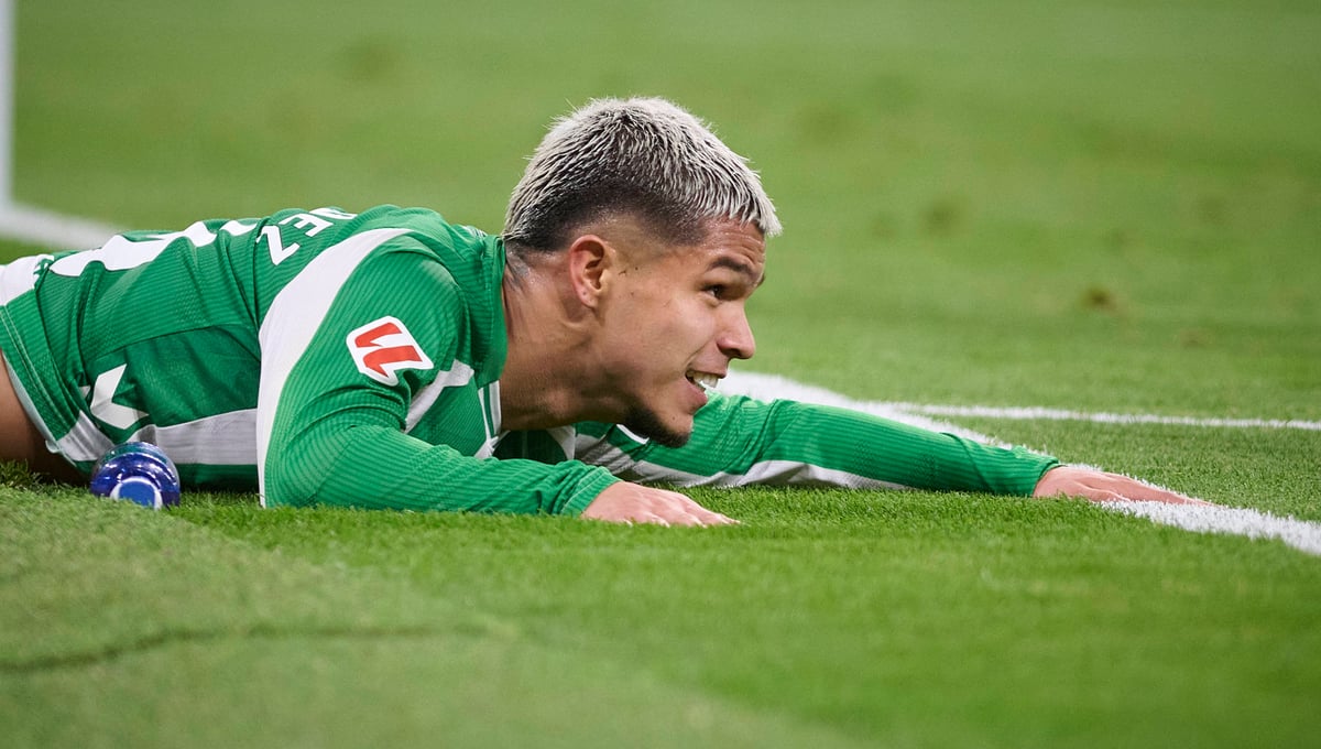 Crece la inquietud en el Betis con Cucho Hernández entre dos buenas noticias