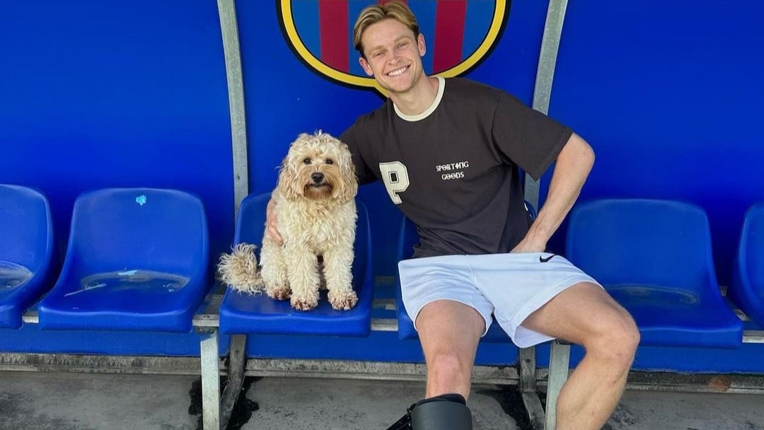 El perro de De Jong        