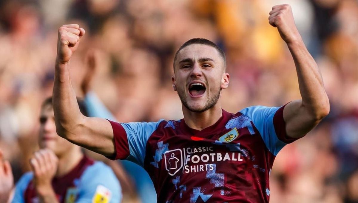 Harwood-Bellis por Luiz Felipe